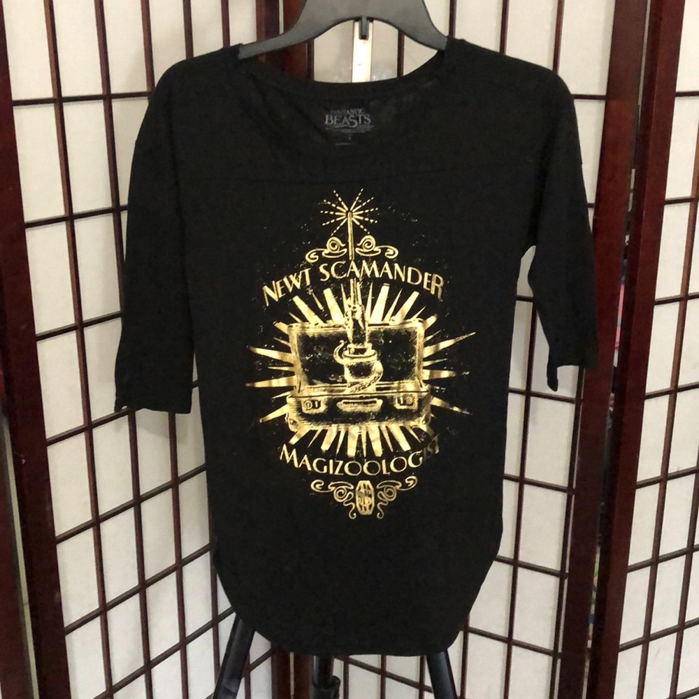 Any Harry Potter fans out there?